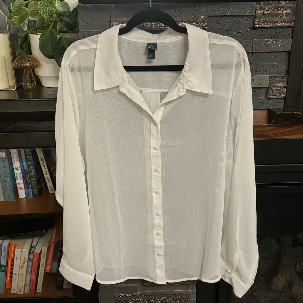 Wild Fable Sheer Button Down Blouse